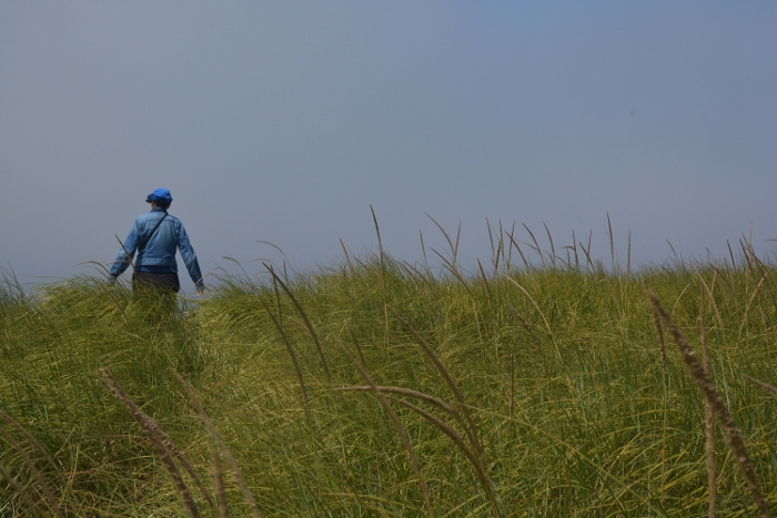 walking in the grassy dunes